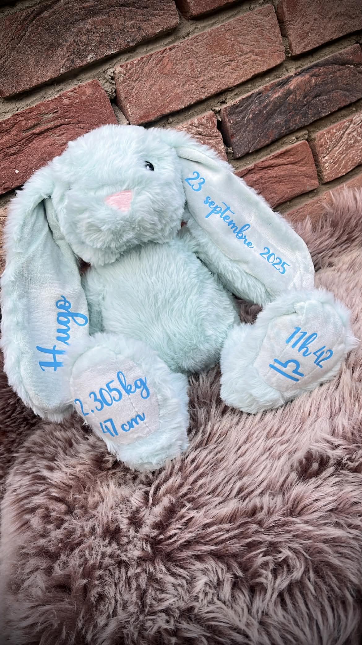 Peluche lapin 40 cm décorative et personnalisable